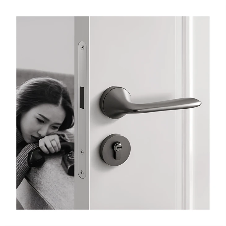 Mortise Door Handle Set